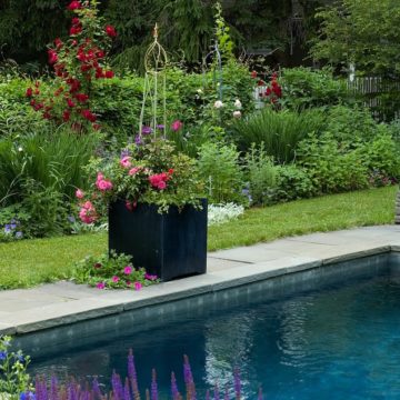 How to Make an Eco-Friendly Backyard