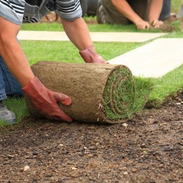 Everything One Must Know About Landscaping and Landscapers