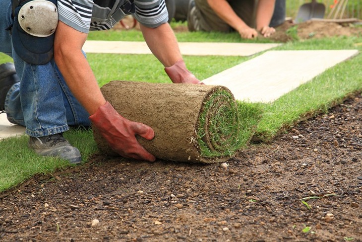 Everything One Must Know About Landscaping and Landscapers