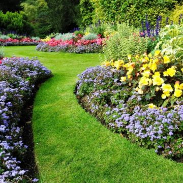 A Beginner’s Guide to Landscaping Your Garden