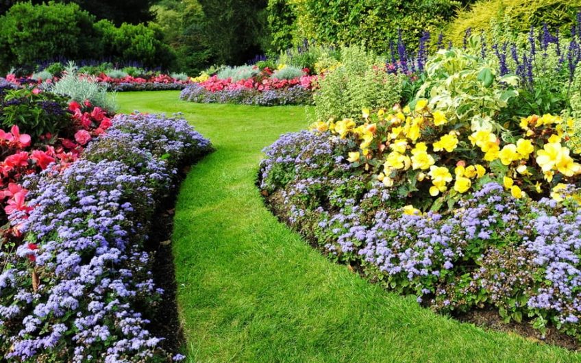 A Beginner’s Guide to Landscaping Your Garden