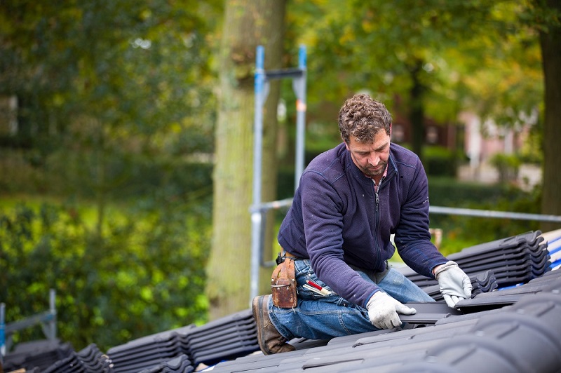 All You Need To Know About the Basics of Roof Repairs