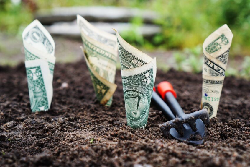 Increase Your Earnings: Methods For Creating New Revenue